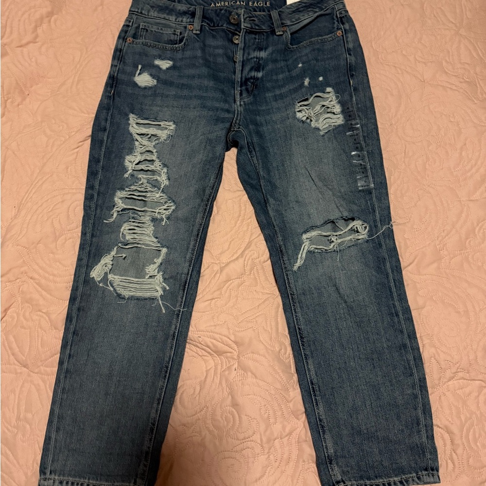 American Eagle Outfitters Mom Jean Distressed